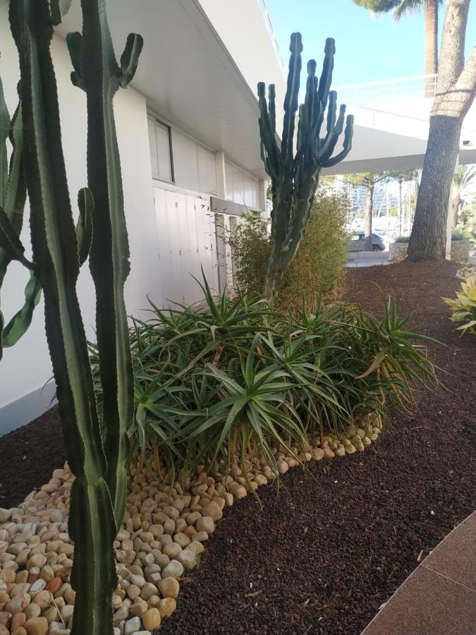 Studio Rez De Jardin Marina Baie Des Anges Villeneuve-Loubet Εξωτερικό φωτογραφία