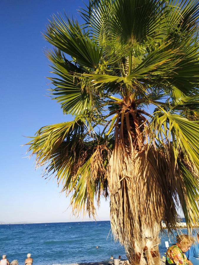 Studio Rez De Jardin Marina Baie Des Anges Villeneuve-Loubet Εξωτερικό φωτογραφία
